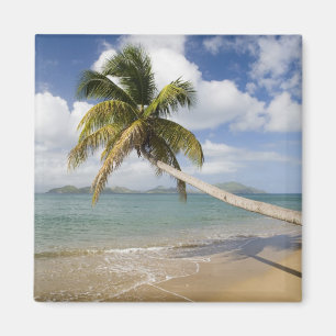 Imã Praia Coconut Grove na Baía de Cades, com St.