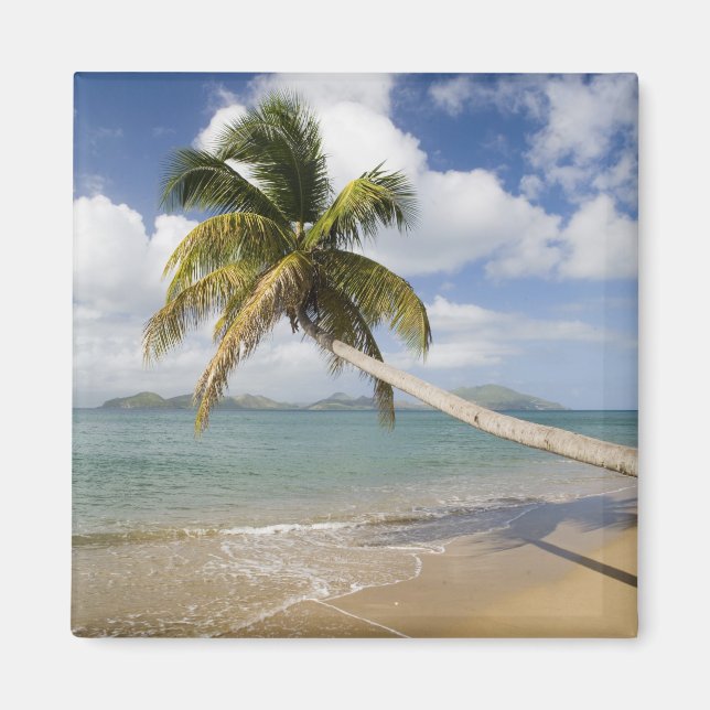 Imã Praia Coconut Grove na Baía de Cades, com St. (Frente)