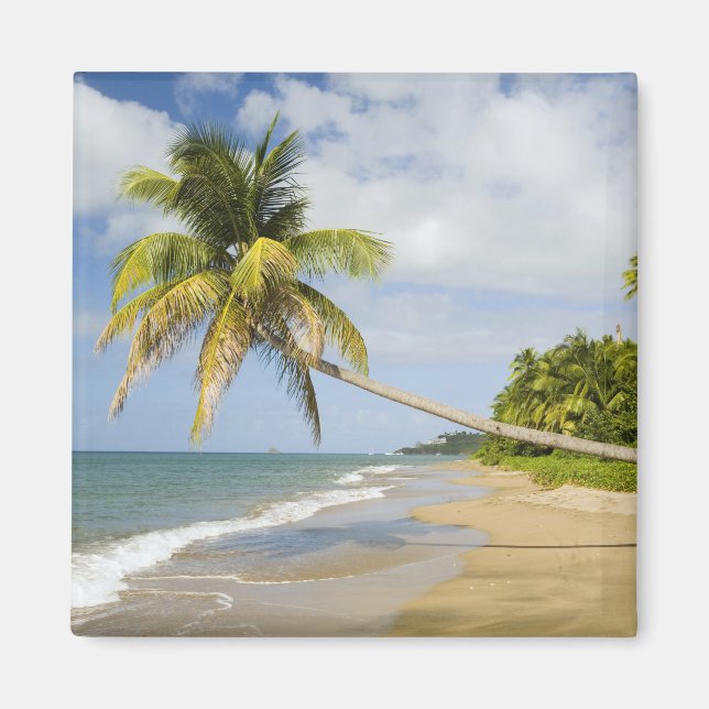 Imã Praia Coconut Grove na Baía de Cades, com St. 2 (Frente)