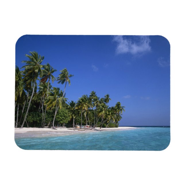 Ímã Praia com palmeiras, Maldivas (Horizontal)