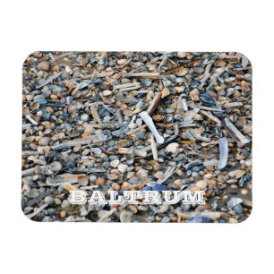 Ímã Praia, Conchas, Madeira de Driftwood, Cartão-post