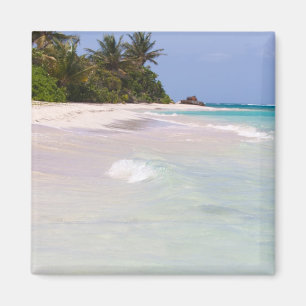 Imã Praia Culebra Puerto Rico do Flamenco