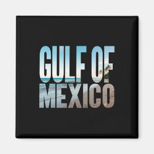 Imã Praia da Palma do Golfo do México Americano Retro 