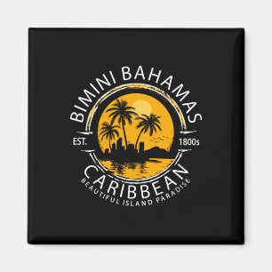 Imã praia de Bimini nas Bahamas férias caribenho tropi