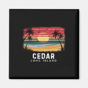 Imã Praia de Cedar Beach Long Island de Prancha de Sur