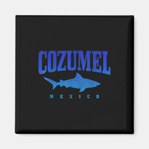 Imã Praia de Cozumel México mergulhador de tubarão mer