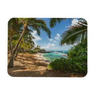 Ímã Praia de Kuau Cove   Maui, Havaí