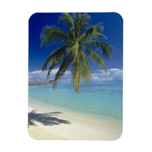 Ímã Praia de Matira na ilha de Bora Bora, Sociedade