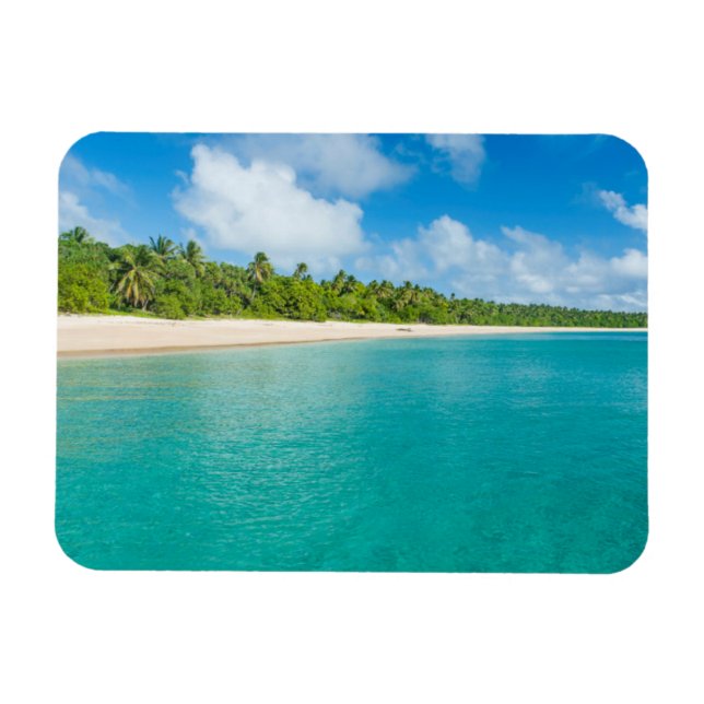 Ímã Praia de palmeiras, Tonga (Horizontal)
