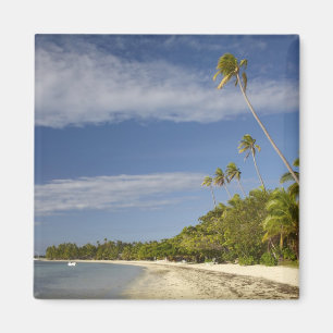 Imã Praia e palmeiras, estância de Plantation Island