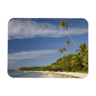 Ímã Praia e palmeiras, estância de Plantation Island