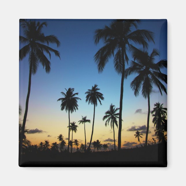 Imã Praia E Vila Costeira | Praia Do Forte (Frente)