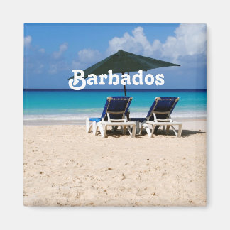 Imã Praia em Barbados