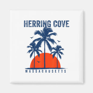 Imã Praia Herring Cove Machusetts Oceano Surfe Surfbo