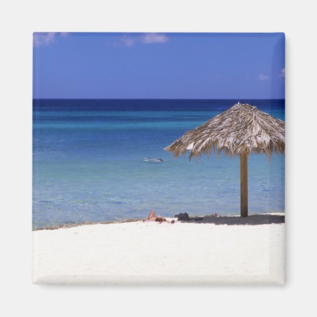 Imã Praia Malmok, Aruba, Antilhas Holandesas (Frente)