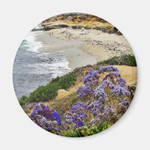 Imã Praia na angra de La Jolla