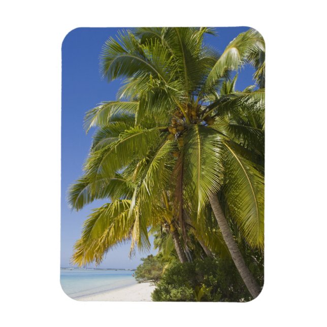 Ímã Praia na Ilha de Um Pé, Aitutaki, Ilhas Cook (Vertical)
