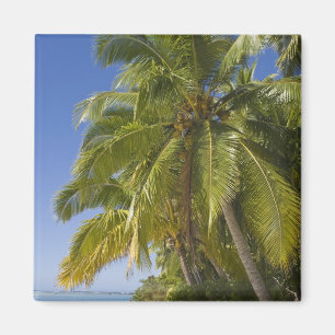 Imã Praia na ilha One Foot, Aitutaki, Ilhas Cook