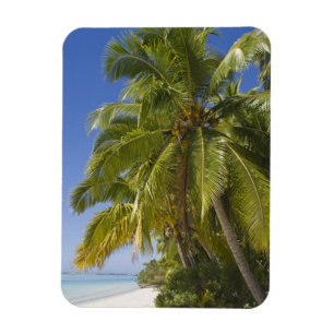 Ímã Praia na ilha One Foot, Aitutaki, Ilhas Cook