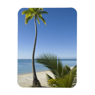 Ímã Praia no continente Aitutaki, Ilhas Cook