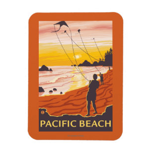Ímã Praia & papagaios - praia pacífica, Washington