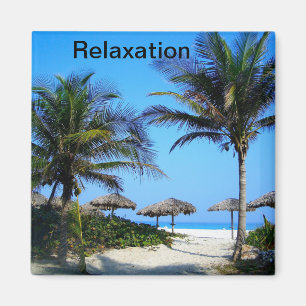 Imã Praia Sandy com Palmeiras e Uma Magna de Visão Oce