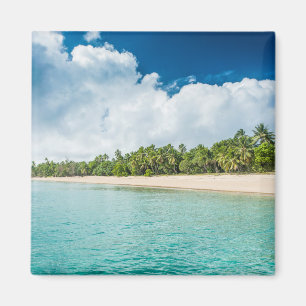 Imã Praia Tropical Cercada por Palmeiras