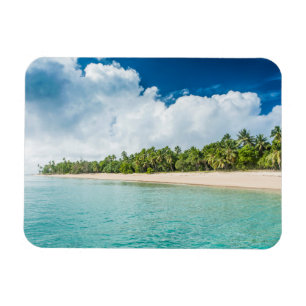 Ímã Praia Tropical Cercada por Palmeiras