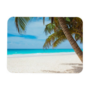 Ímã Praia Tropical do Paraíso