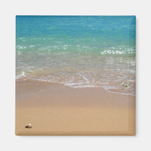 Imã Praia tropical - Waikiki, Oahu, Havaí
