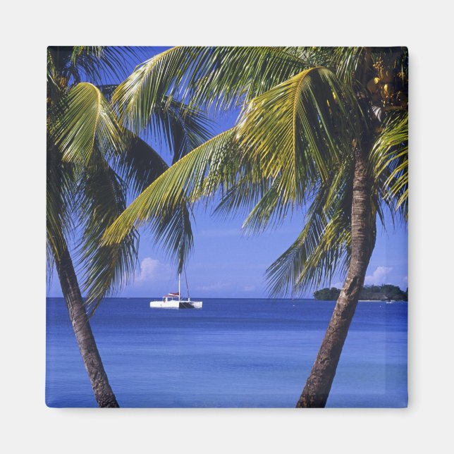 Imã Praias em Negril, Jamaica (Frente)