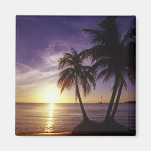 Imã Praias em Negril, Jamaica 3