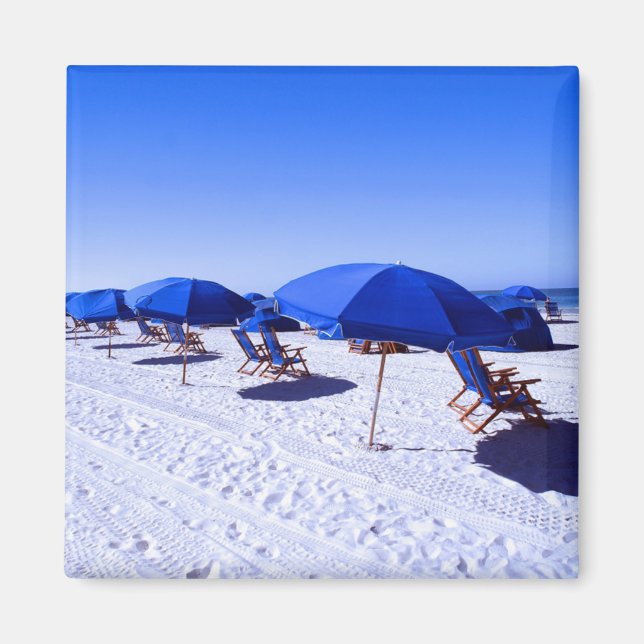 Imã Praias Tropicais | Clearwater, Flórida (Frente)