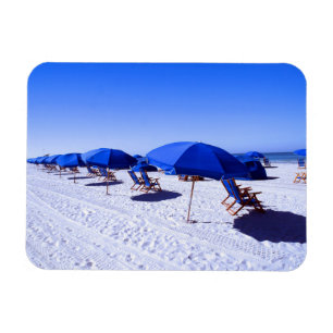 Ímã Praias Tropicais   Clearwater, Flórida