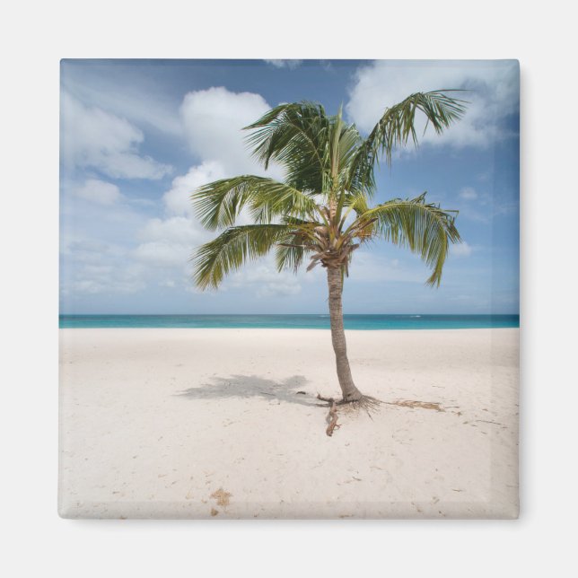 Imã Praias Tropicais | Eagle Beach, Aruba (Frente)