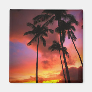 Imã Praias Tropicais   Ilhas Maui Hawaii