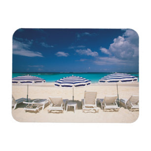 Ímã Praias Tropicais   Praia Tropical Anguila