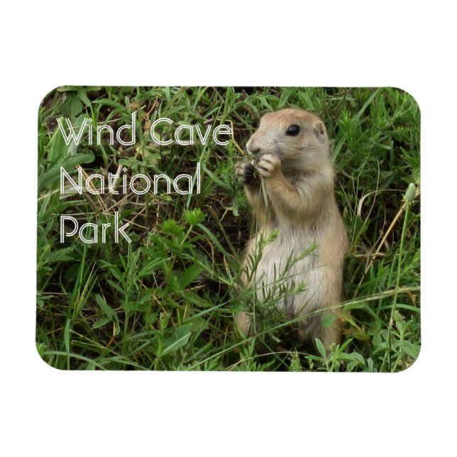 Ímã Prairie Dog Em Pé, Comendo Grama, Caverna Eólica (Horizontal)