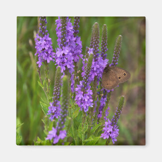 Imã Prairie Flower e Butterfly Magnet