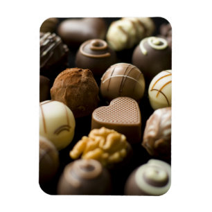 Ímã Pralines deliciosos do chocolate