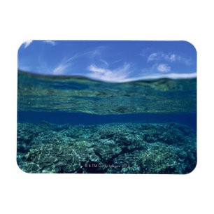 Ímã Prateleira do coral