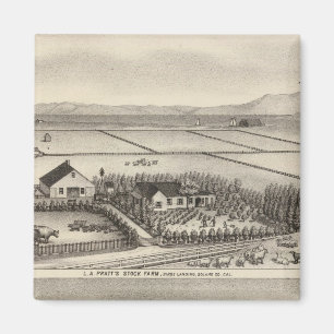 Imã Pratt, fazendas Stewart