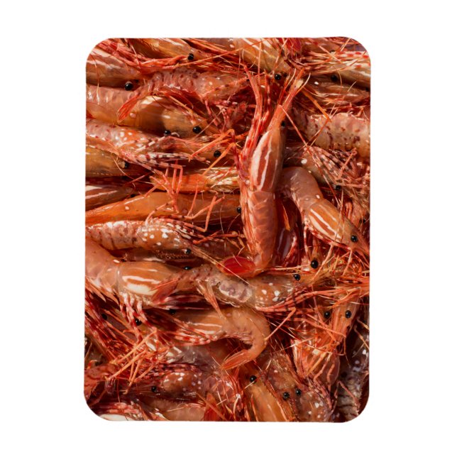 Ímã Prawns Deliciosos (Vertical)