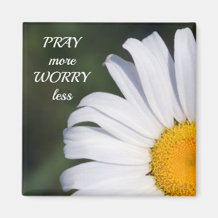 Imã Pray mais ímã menos deslocado da margarida da