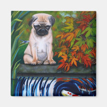 Precisa de um amigo? Íman