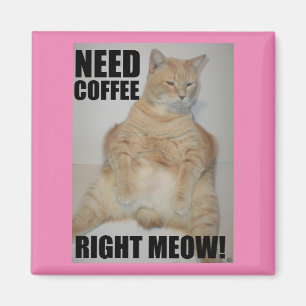Imã PRECISO DE CAFÉ AGORA! Gato Manx Sentado Engraçado