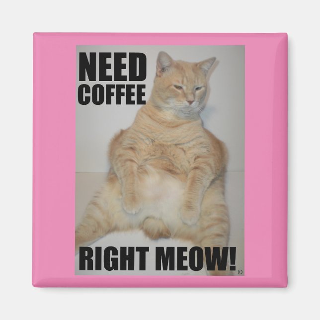 Imã PRECISO DE CAFÉ AGORA! Gato Manx Sentado Engraçado (Frente)