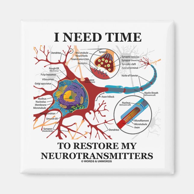 Imã Preciso De Tempo Para Restaurar Os Meus Neurotrans (Frente)