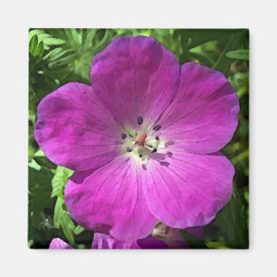 Imã Preencher Rosa