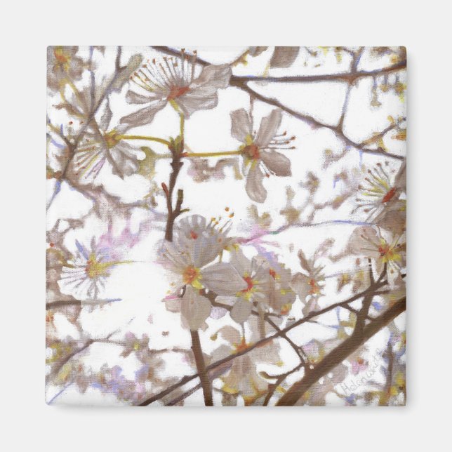 Imã Prelúdio 2014 (Frente)